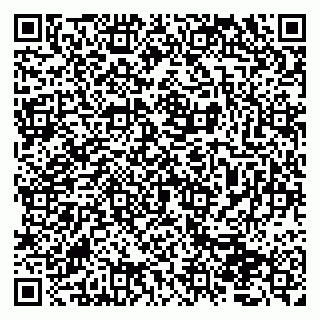 vCard 79066890381