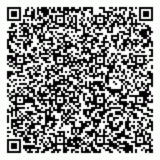 vCard 79066890386