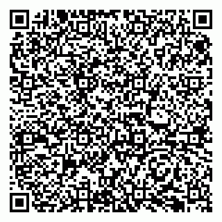 vCard 79066890387