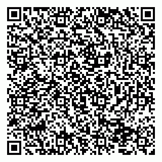 vCard 79066890389