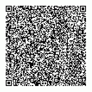vCard 79067001030