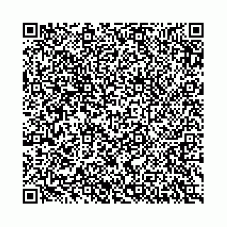 vCard 79067001040