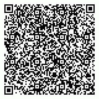vCard 79068000138