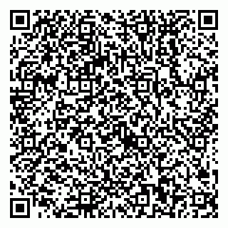vCard 79068000638