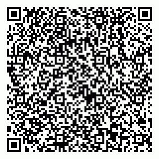vCard 79068003339