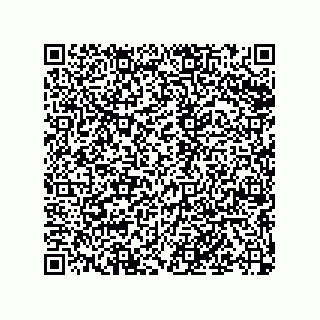 vCard 79068160003