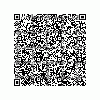 vCard 79068160333