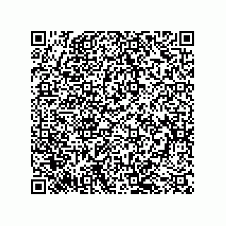 vCard 79068160381