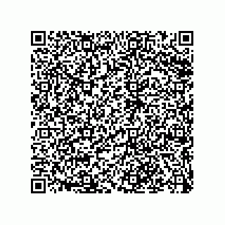 vCard 79068160384