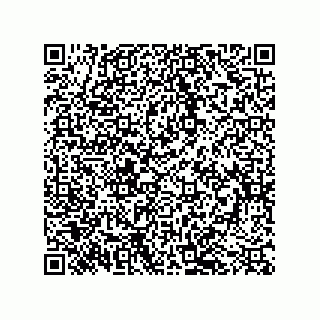 vCard 79068160387