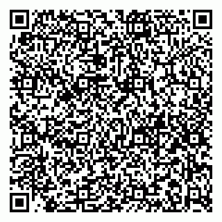 vCard 79068280317