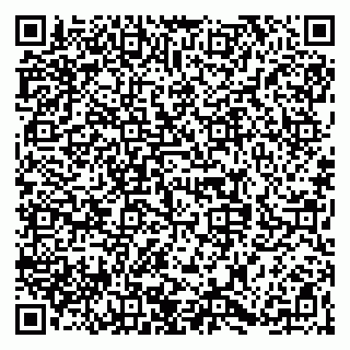 vCard 79068280389