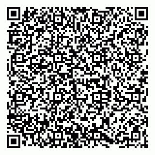 vCard 79068280393