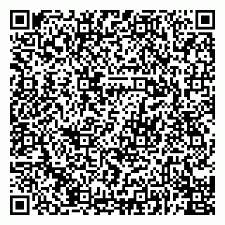 vCard 79068760199