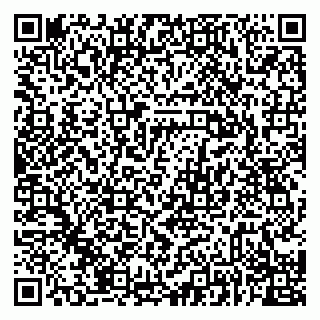 vCard 79068760384