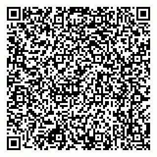 vCard 79068902733