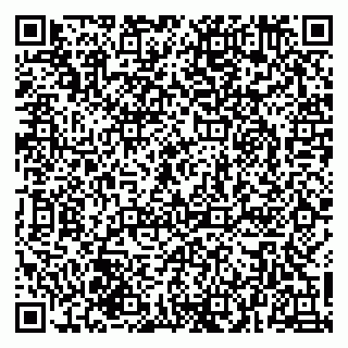 vCard 79069520001