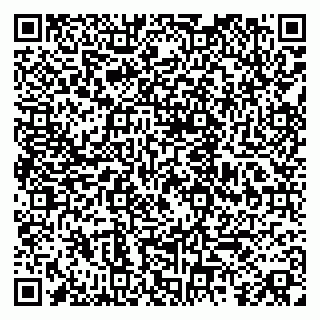 vCard 79080038893