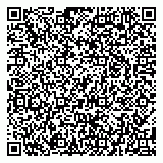 vCard 79080038904