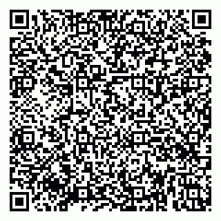 vCard 79080038913