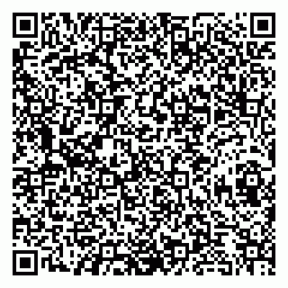 vCard 79080038931