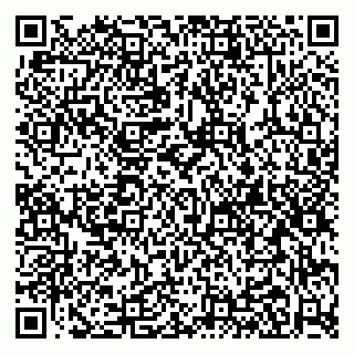 vCard 79080038933