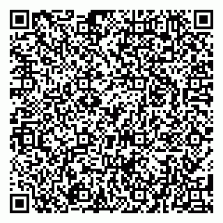 vCard 79080038944