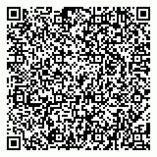 vCard 79080038971