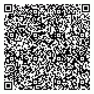 vCard 79080038980
