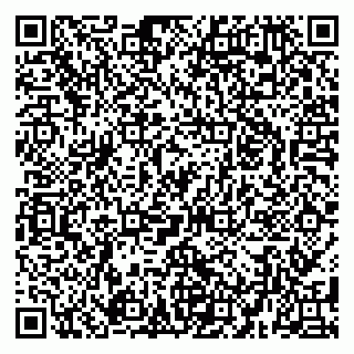 vCard 79080038990