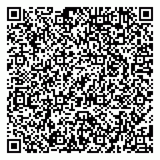 vCard 79080038991