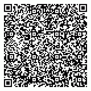 vCard 79080038999