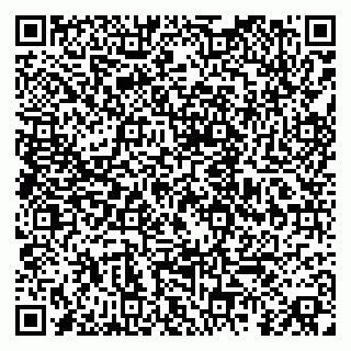 vCard 79080039003