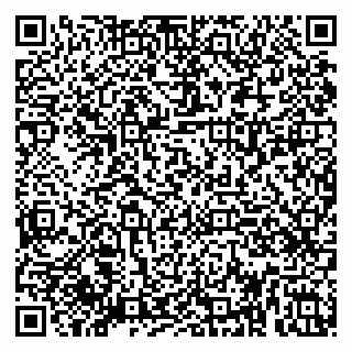 vCard 79080039011