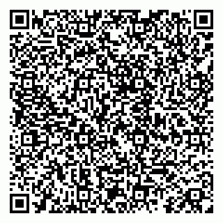 vCard 79080039019