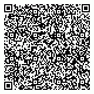 vCard 79080039022