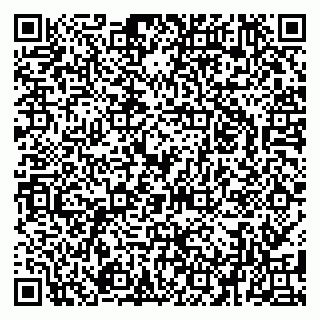 vCard 79080039027