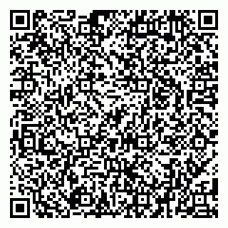 vCard 79080039029