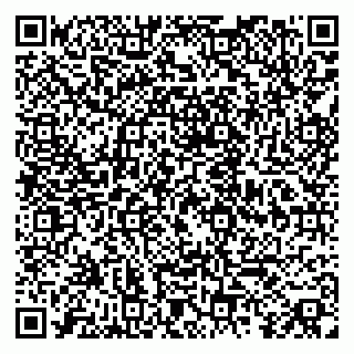 vCard 79080039031