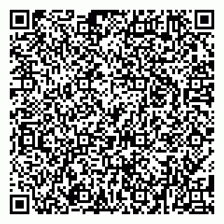 vCard 79080039032