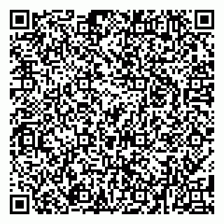 vCard 79080039035