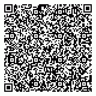 vCard 79080039037
