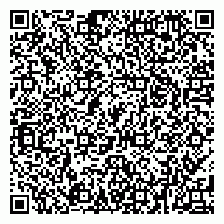 vCard 79080039038