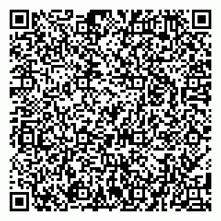 vCard 79080039040