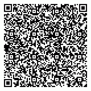 vCard 79080039043