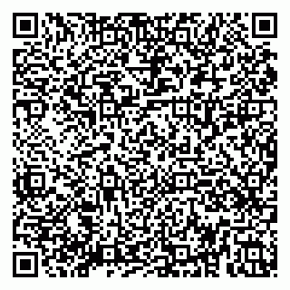 vCard 79080039089