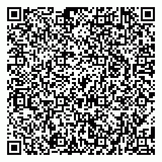 vCard 79080039113
