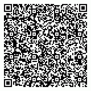 vCard 79080039133