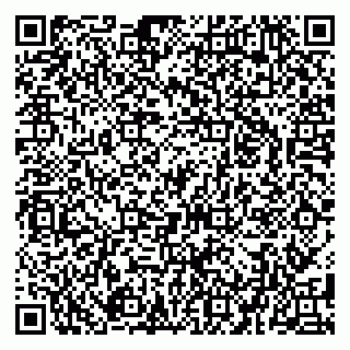 vCard 79080039145