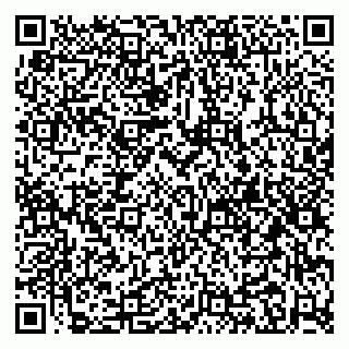 vCard 79080039181